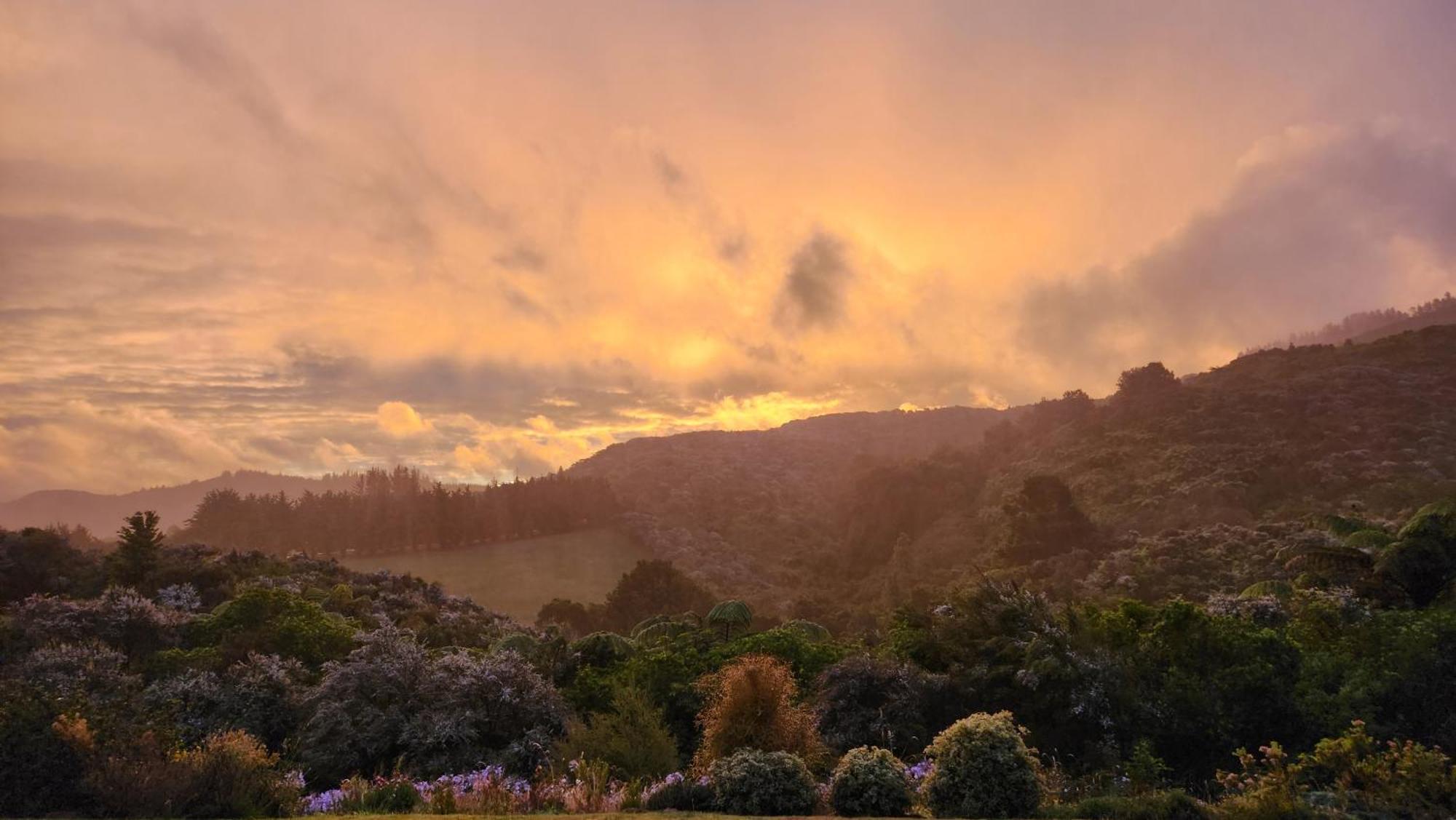 Boutique Art Retreat Otel Upper Hutt Dış mekan fotoğraf